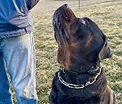 Review Image by P. Shupe