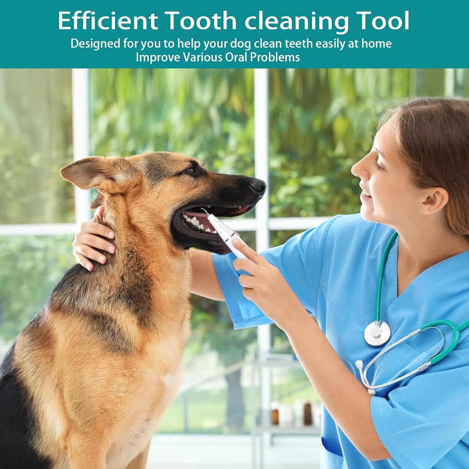KT Dog Teeth Cleaning Kit for Small & Large Dogs – Complete Pet Dental Care Set with Enzymatic Toothpaste, Dual-Head & Finger Toothbrush – Plaque & Tartar Remover, Fresh Breath Oral Hygiene Solution - image 7