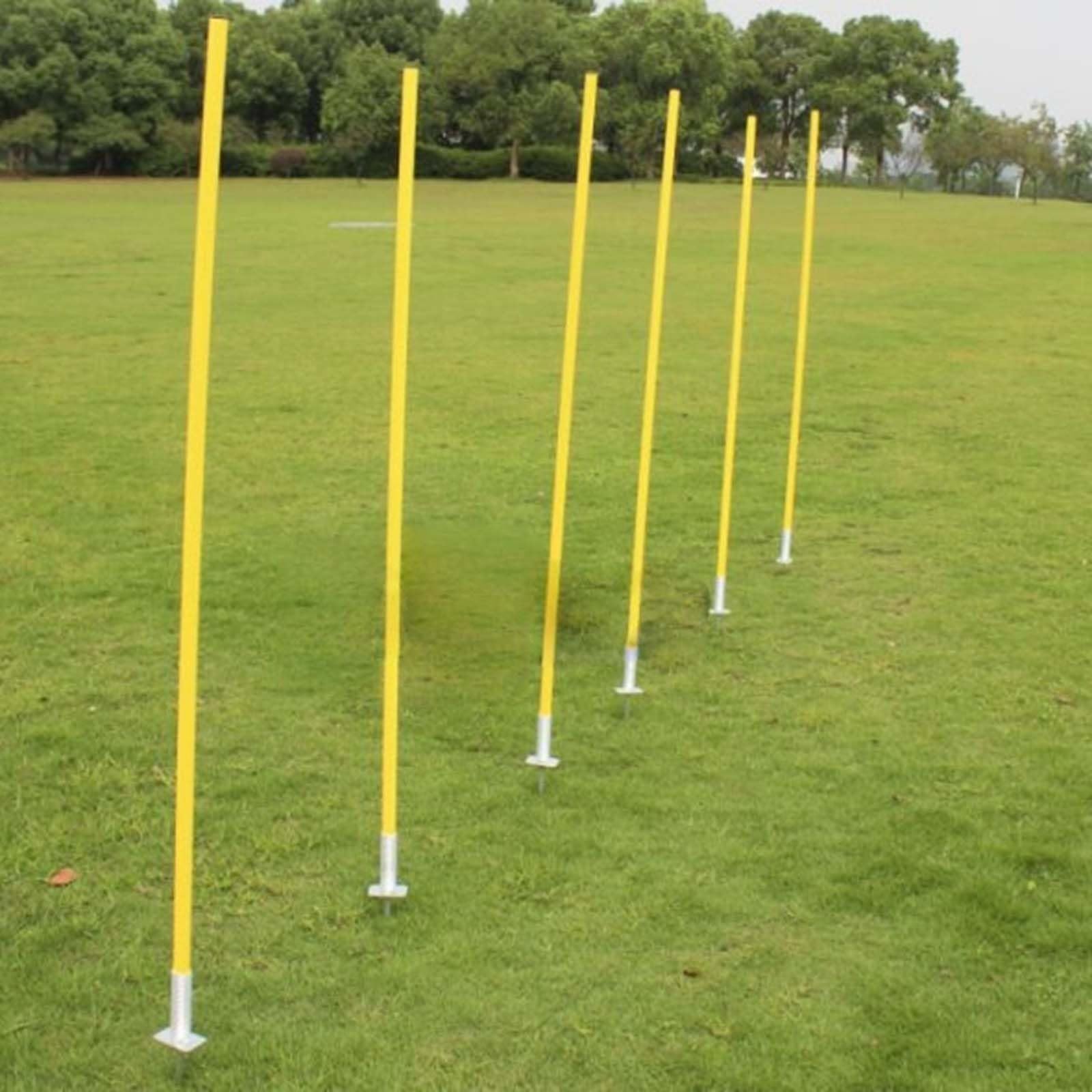 Vallas entrenamiento, Picas de Slalom Agility Postes Para Entrenamiento De Futbol, Bastones de entrenamiento de agilidad para deportes al aire libre y fitness 6 piezas, Palos Para Entrenamiento De Coo