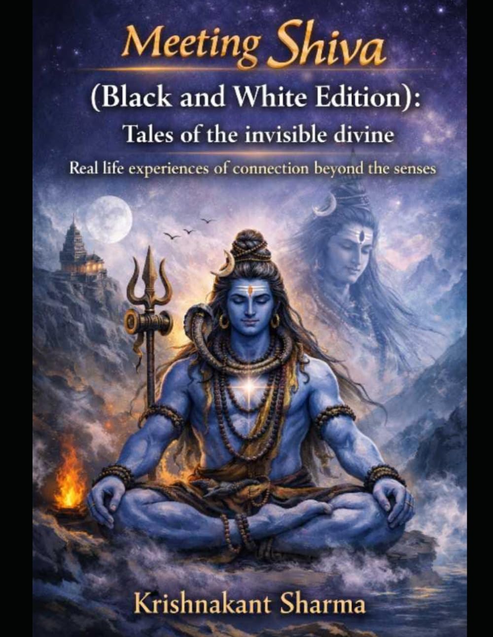Meeting Shiva ( Black and white edition ): Tales of the invisible divine Real life experiences of connection beyond the senses