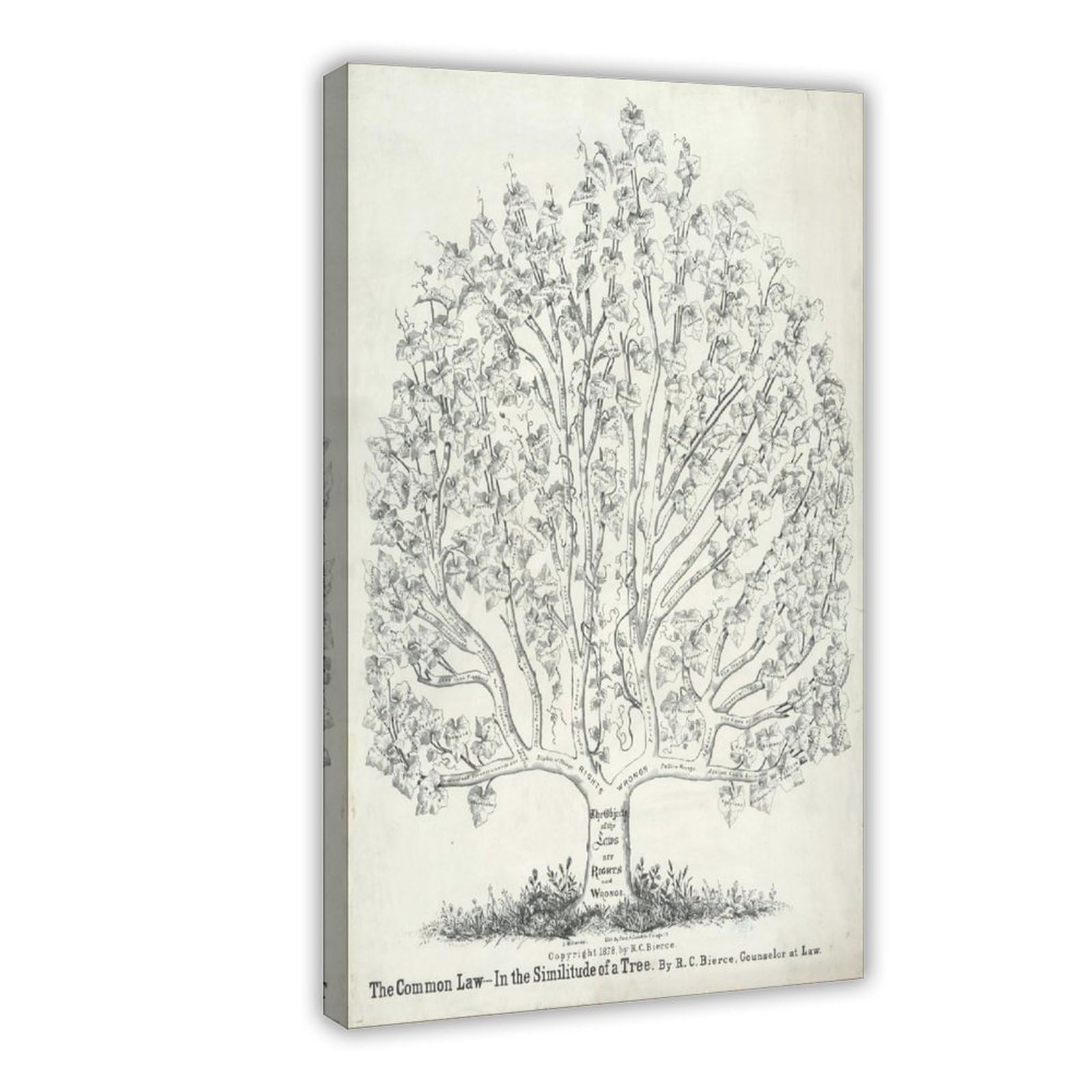 Impression sur toile The Common Law 1878 décoration pour bureau et salon - 8