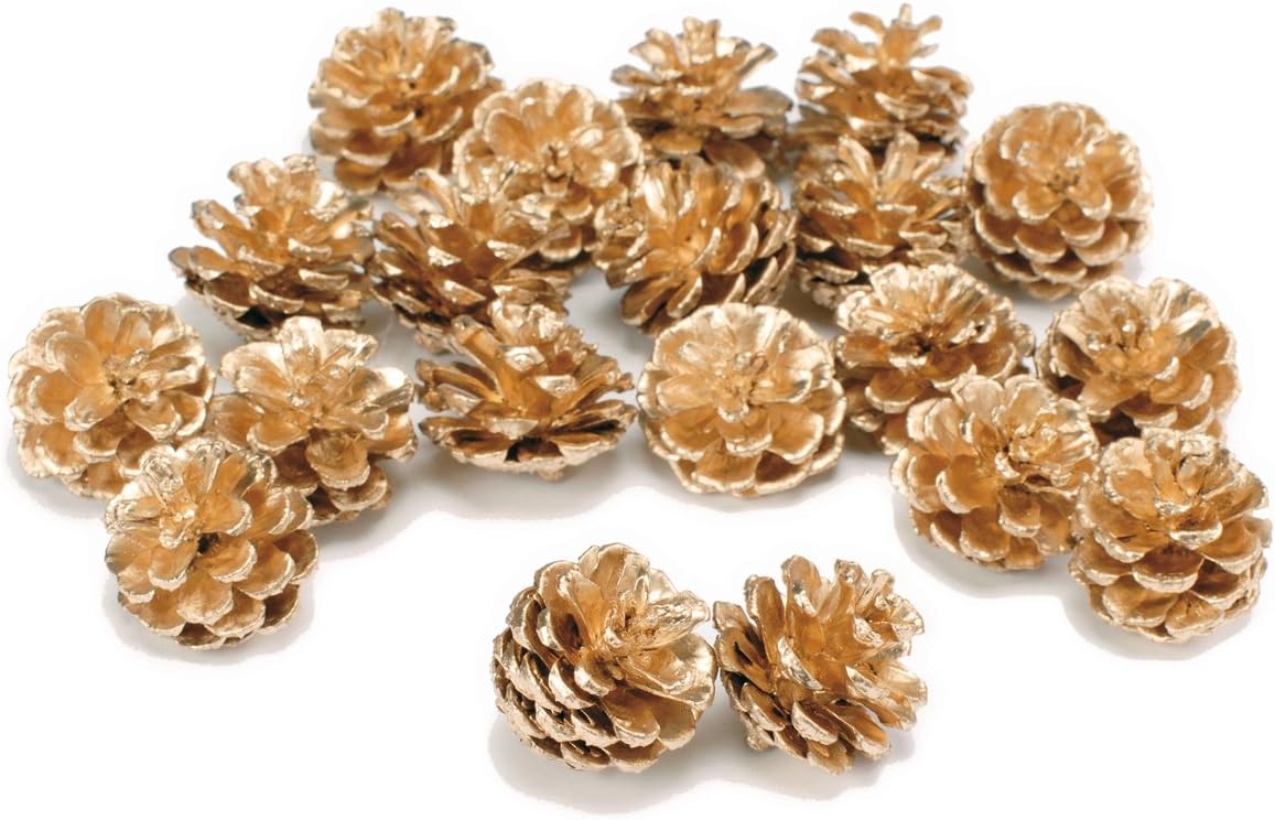 Earth Farm DO24227-902 Natural Pine Casa Mini (100 Pieces), Gold