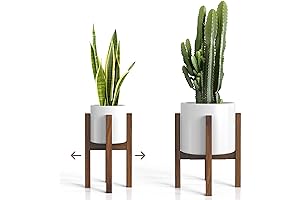 Sophia Mills Plant Stand: Elevate Your Greenery with Mid-Century Charm