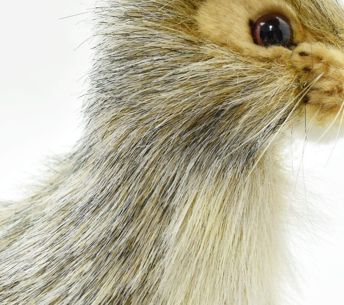 Hansa Plush - 9" Blacktail Jack Rabbit - Image 5