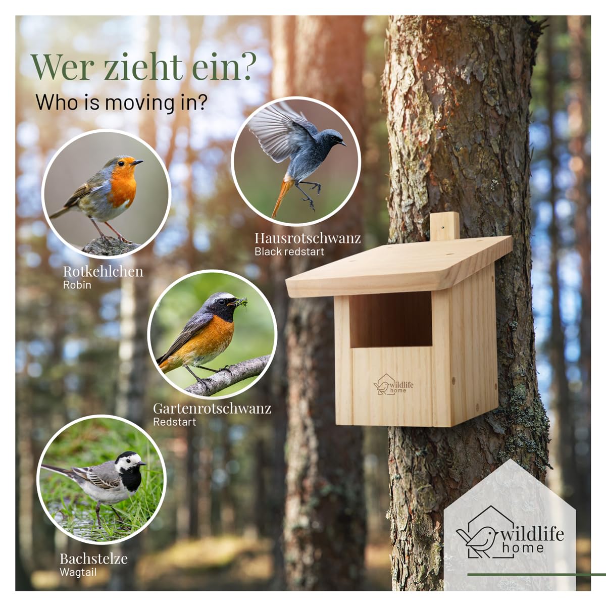 WILDLIFE HOME Nidificatore per coda di rosso, pettirosso in legno massiccio – resistente alle intemperie, mezza grotta per coda rossa, casetta per uccelli per esterni, casetta per nidificare uccelli