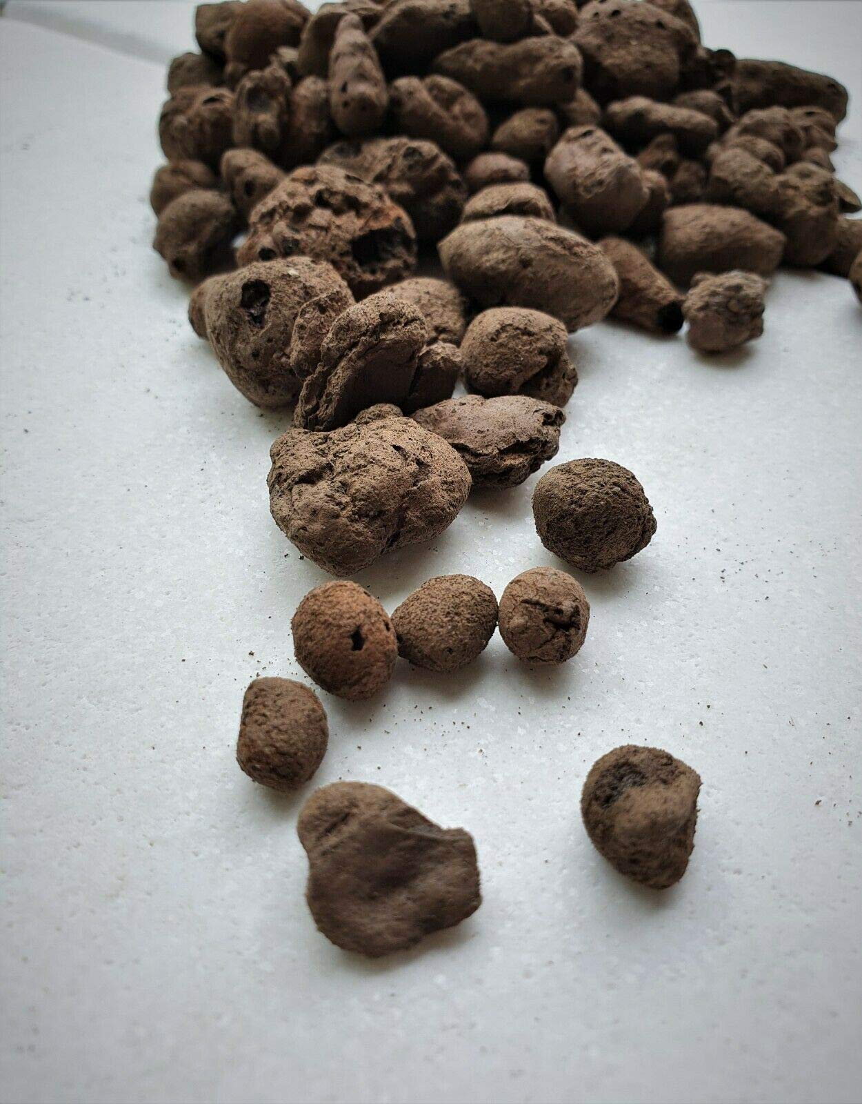 5L Lightweight Clay PEBBLES Aggregate Hydroponic FLOWER Plants Grow Orchid