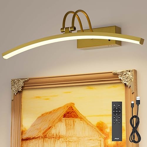 PAIHOME Luz de imagen para pared, funciona con pilas, luz de imagen recargable con sensor de movimiento inteligente, control remoto regulable y