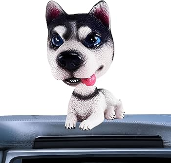 71oN9zf9VoL._AC_UF350,