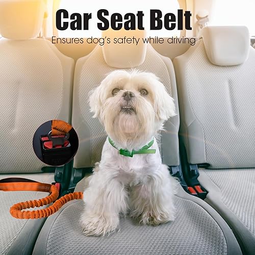 Miniatura 13 de BUMBIN Correa elástica para perro de 6 pies, correa elástica para perro con 2 asas, correas resistentes para perros medianos y pequeños, sin