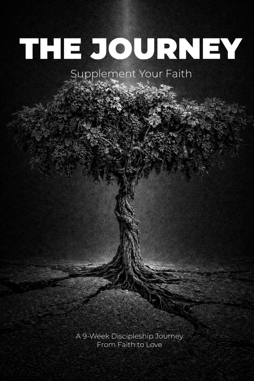 The Journey: Supplement Your Faith: 3 (The Discipleship Journey)