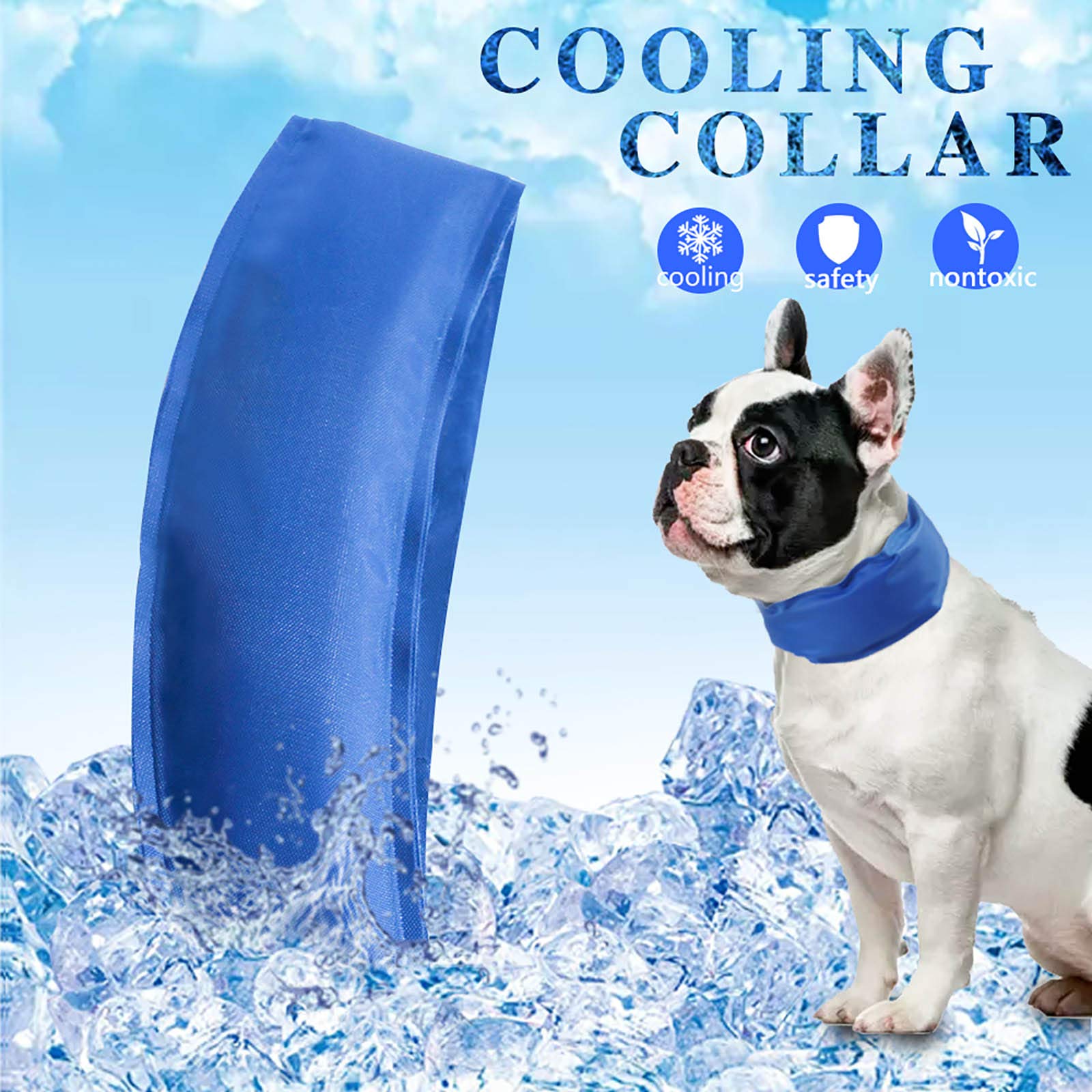 How To Keep Small Dogs Cool In Summer