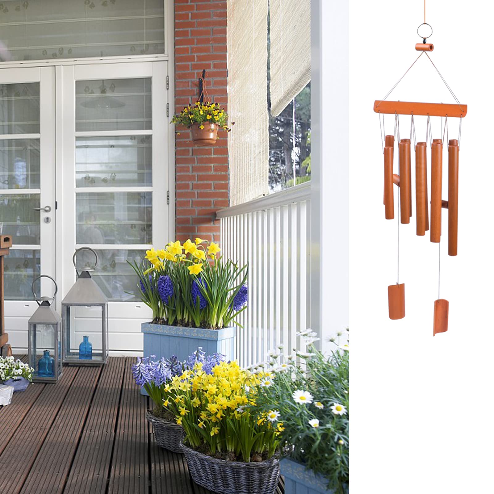 xl bonsai DIY Terrarium Kit - Create your own mini Ecosystem