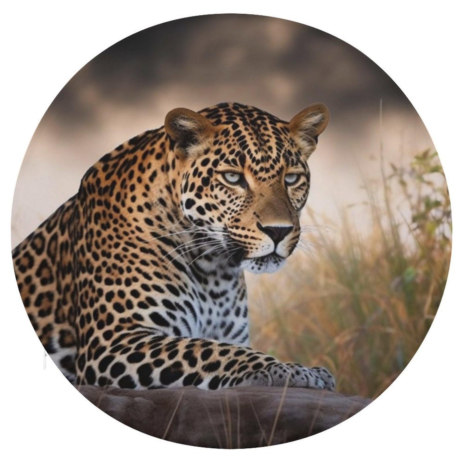 VstaDank African Animal Leopard Round Cushion Memory Foam Seat Cushions 15In Comfort Meditation Floor Pillow Anti Slip Soft Stool Cushion Chair Pad for Tatami Living Room Yoga