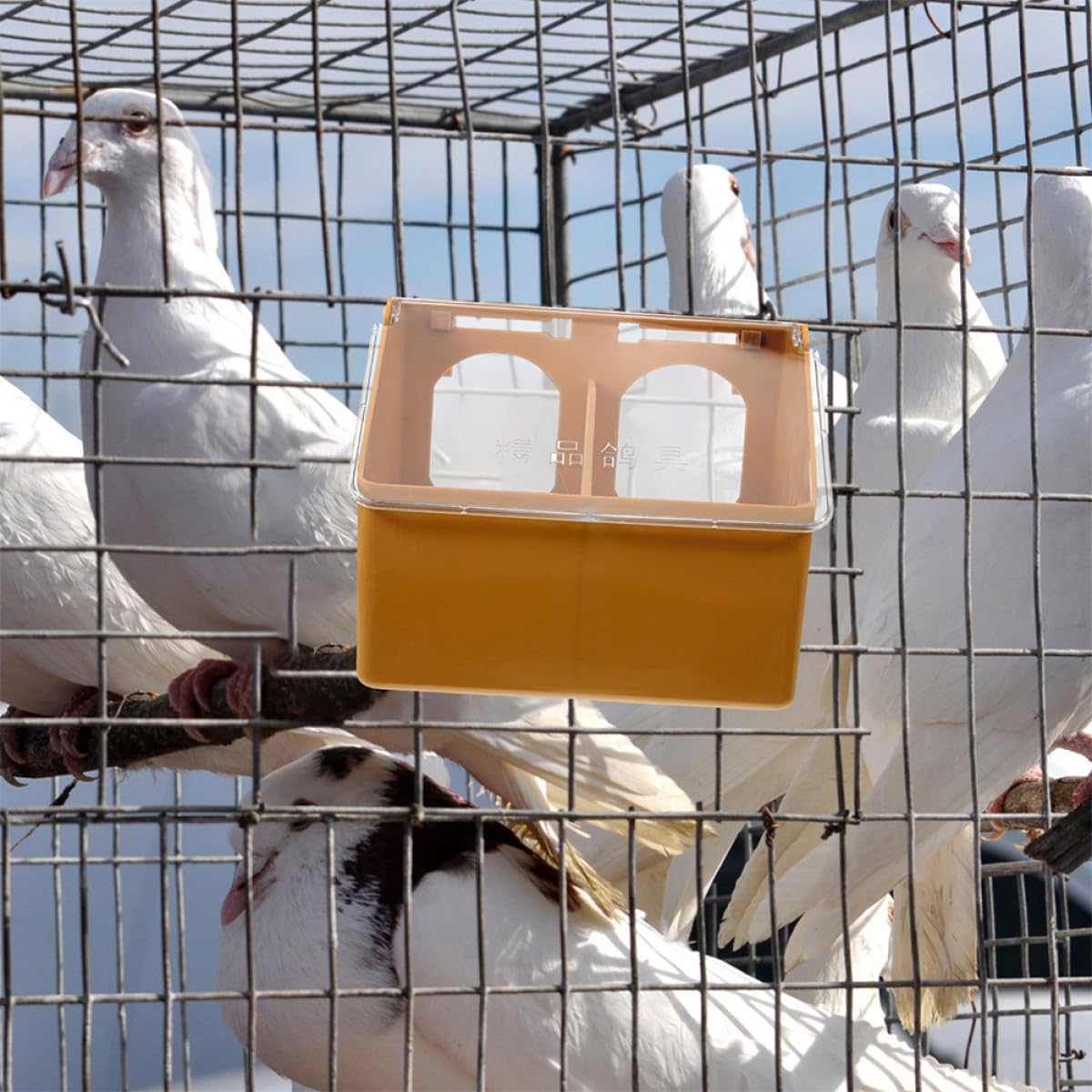 GALPADA Mangeoire Suspendue pour Cage à Oiseaux 3 Unités en Plastique Robuste, Double Compartiment, pour Alimentation de Calopsittes et Pigeons en Intérieur
