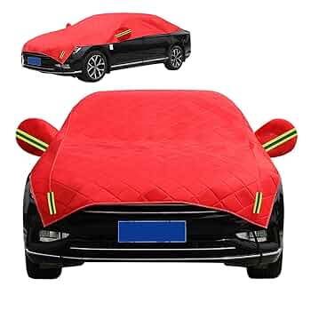 Amazon.com: Hail Protector Car Cover Fit for Kia EV9 2024