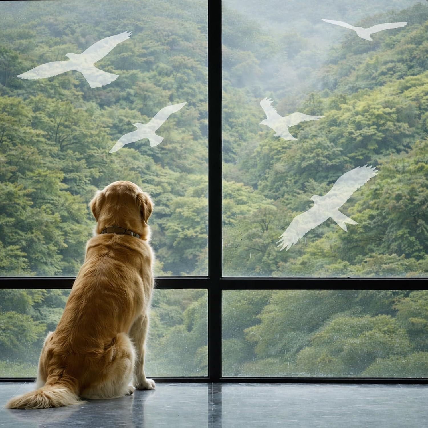 UV Bird Window Decals Anti Collision – Invisible Glass Stickers to Prevent Bird Strikes, Works Outside, Transparent Design, Large Size 9 Pack