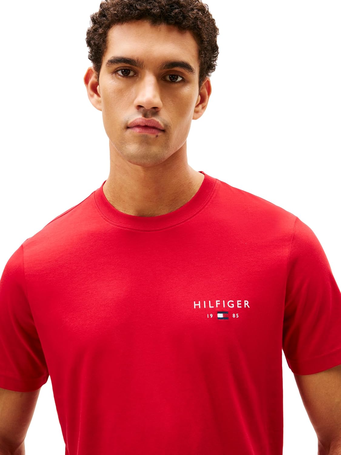 Tommy Hilfiger Men's Short Sleeve Cotton Graphic T-Shirts with Embroidered Flag Logo