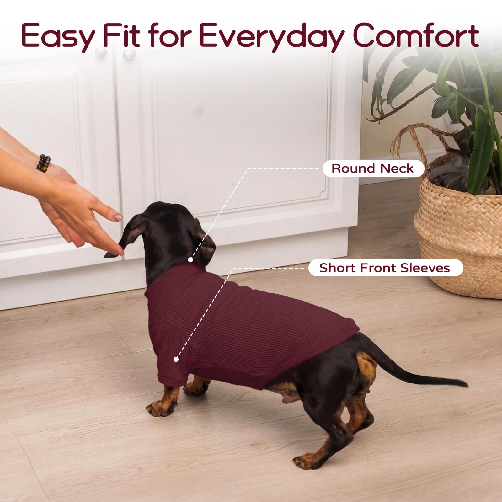 Pull en tricot pour chien L - T-shirt léger pour animal de compagnie pour Beagle - Schnauzer miniature Border Terrier - Confortable et décontracté - Pour promenades, voyage et confort à la maison