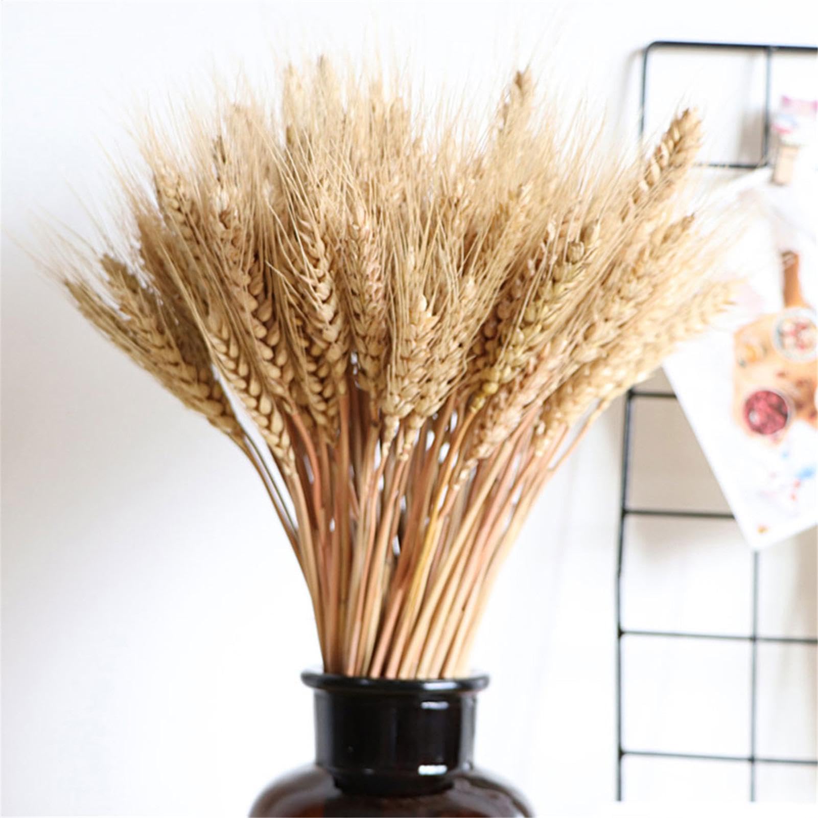 100Pcs Natural Dried Wheat Sheaves, Dried Wheat Stalks,Dried Wheat Grass, Natural Ear of Wheat Grain Flowers for Home Dining Table Arrangement DI Y Flower Art Wedding Decoration,55cm
