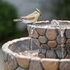Product Photo 7