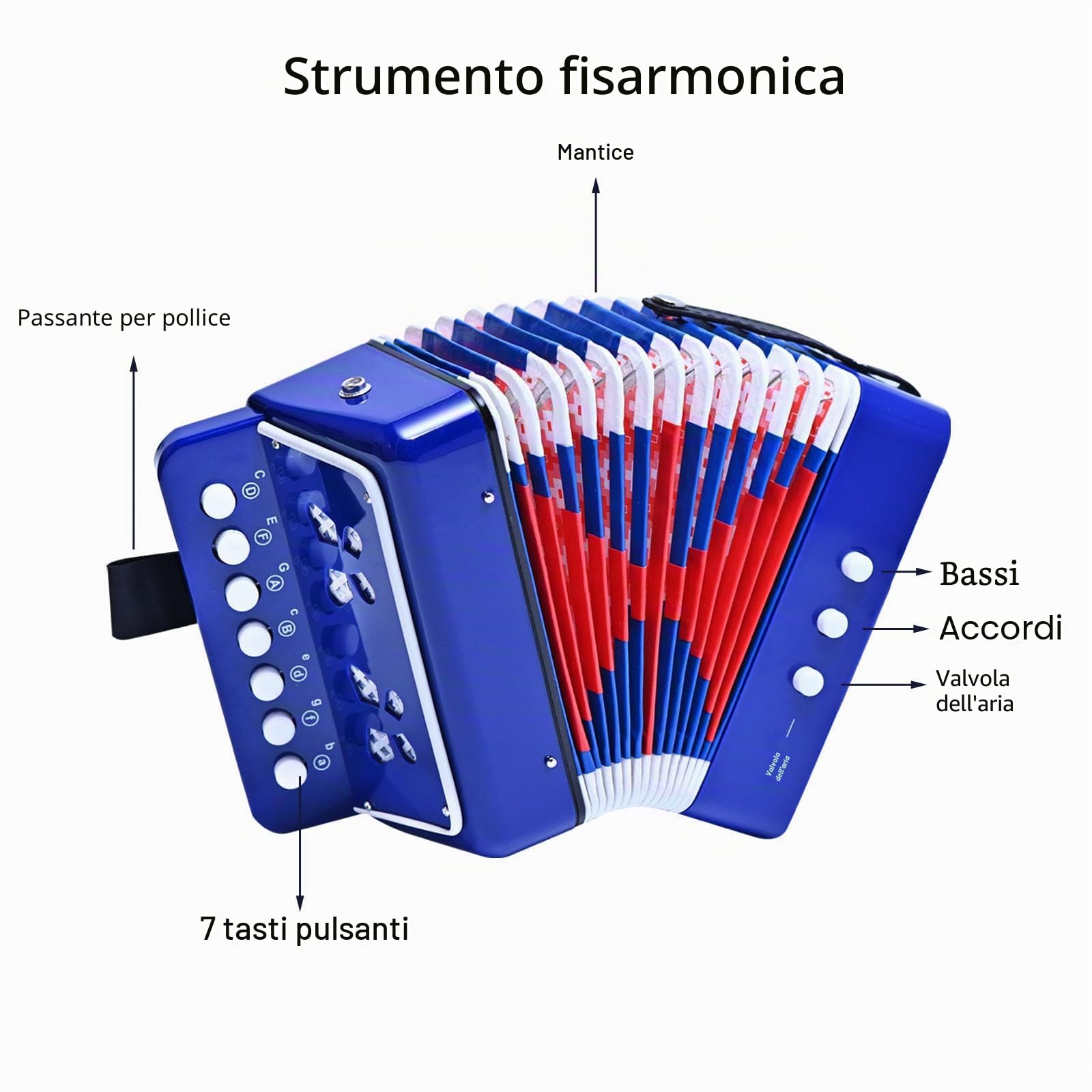 LIEKE Fisarmonica per bambini, 10 tasti organetto, strumento musicale, regalo per adulti, studenti principianti (blu)