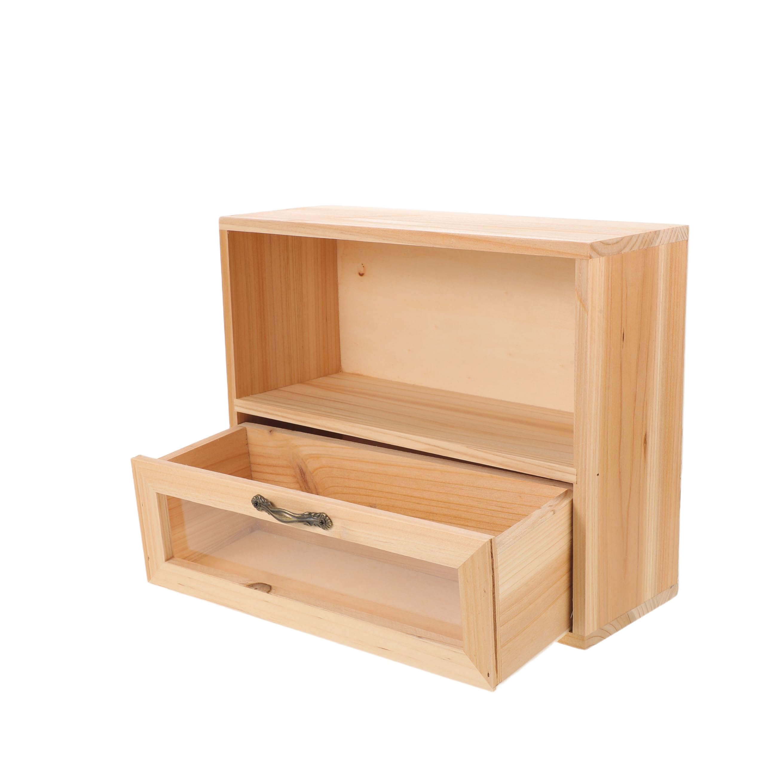 Schubladenbox aus natürlichem Holz für Büro, 2 Schubladen, Aufbewahrung für Kosmetik, Schreibtischzubehör und Heimdisplay, multifunktionales Kaktus-Design-Möbel