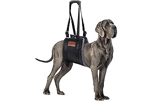 Dog Support Sling: Enhanced Mobility for Canine Companions