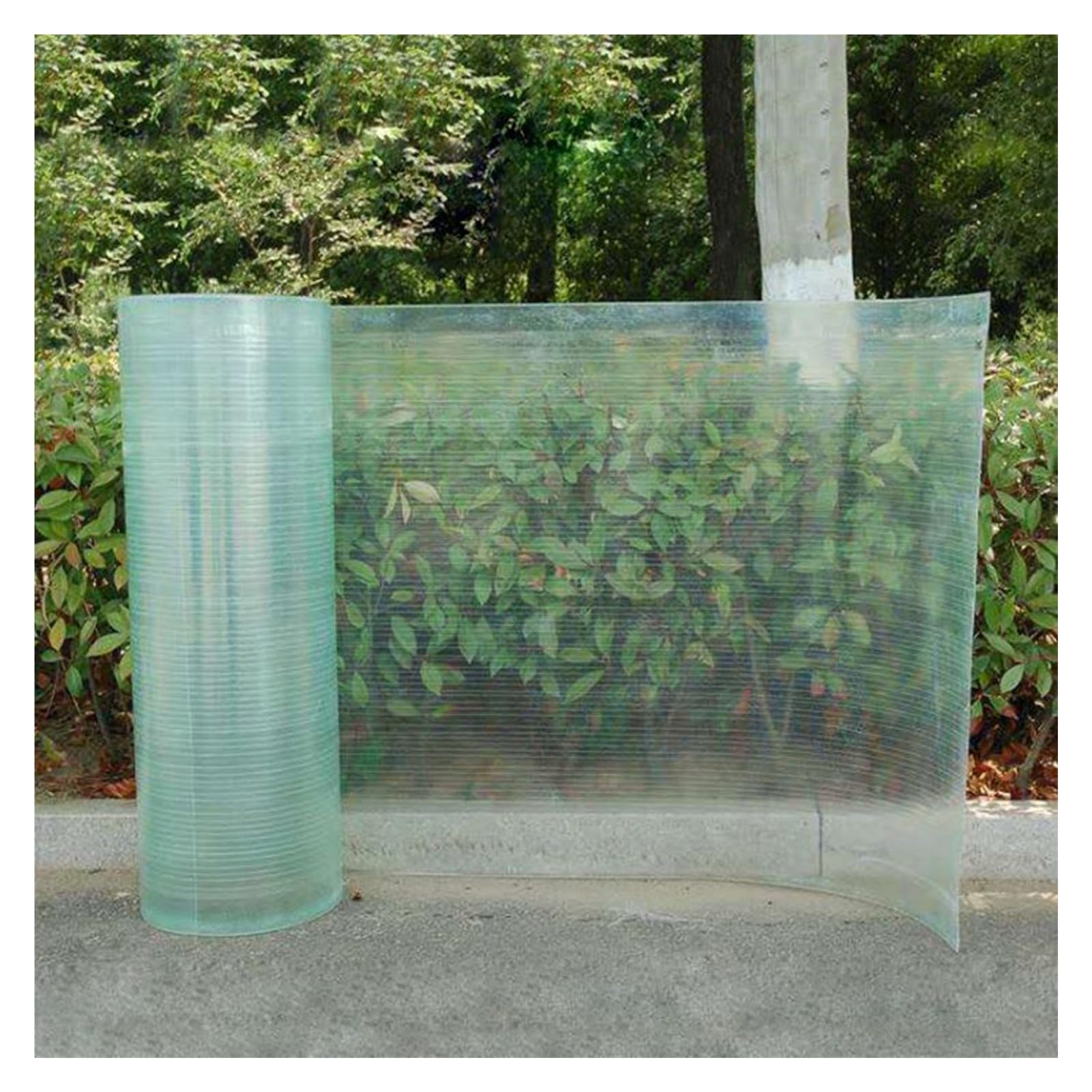 Panneaux Polycarbonate de Serre à haute résistance pour agriculture et jardin