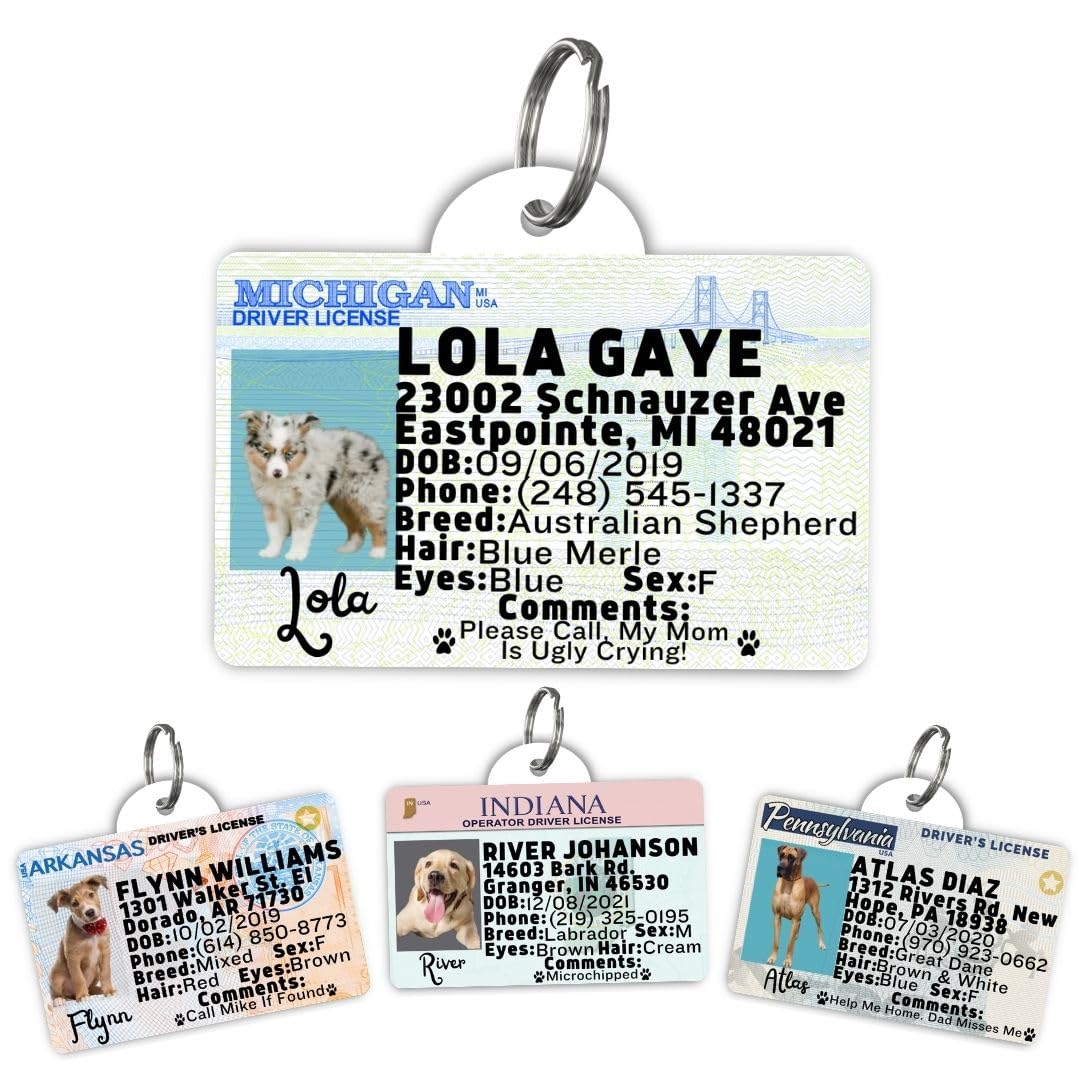Driver License Custom Dog Tag for Pets and Wallet Card - Dog Tags for Dogs - Dog ID Tag - Personalized Dog ID Tags - Cat ID Tags - Pet ID Tags for Cats - Personalized Pet ID Tags (Oregon, Tag)