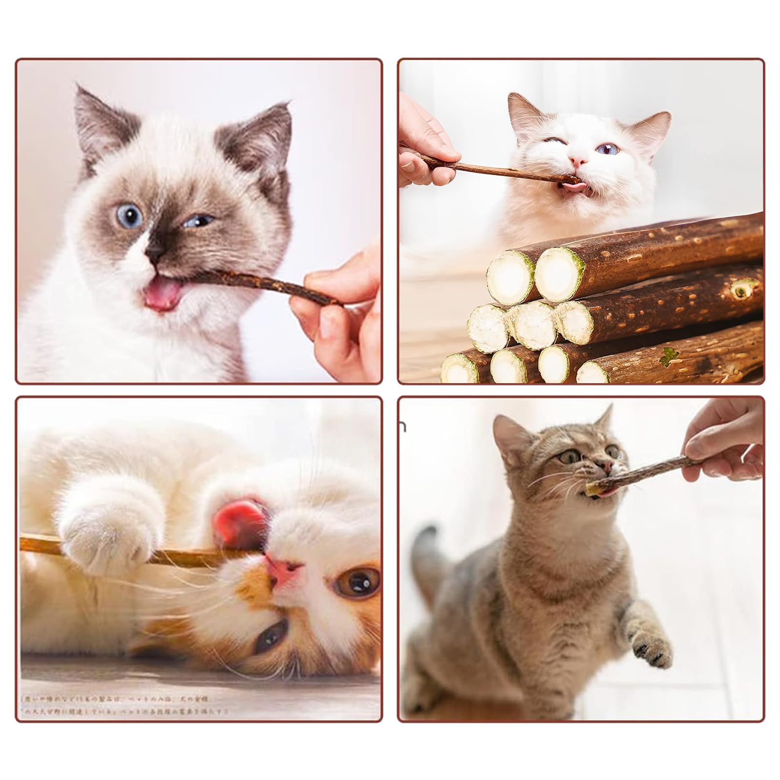 Bastoncini di Matatabi Silvervine Naturali per Gatti, Bastoncini Cura Denti per Gatti, Giocattolo di Erba Gatta, Bastoncini da Masticare per Gatti, Allevia La Tensione E L'Ansia Del Gatto, 30PCS