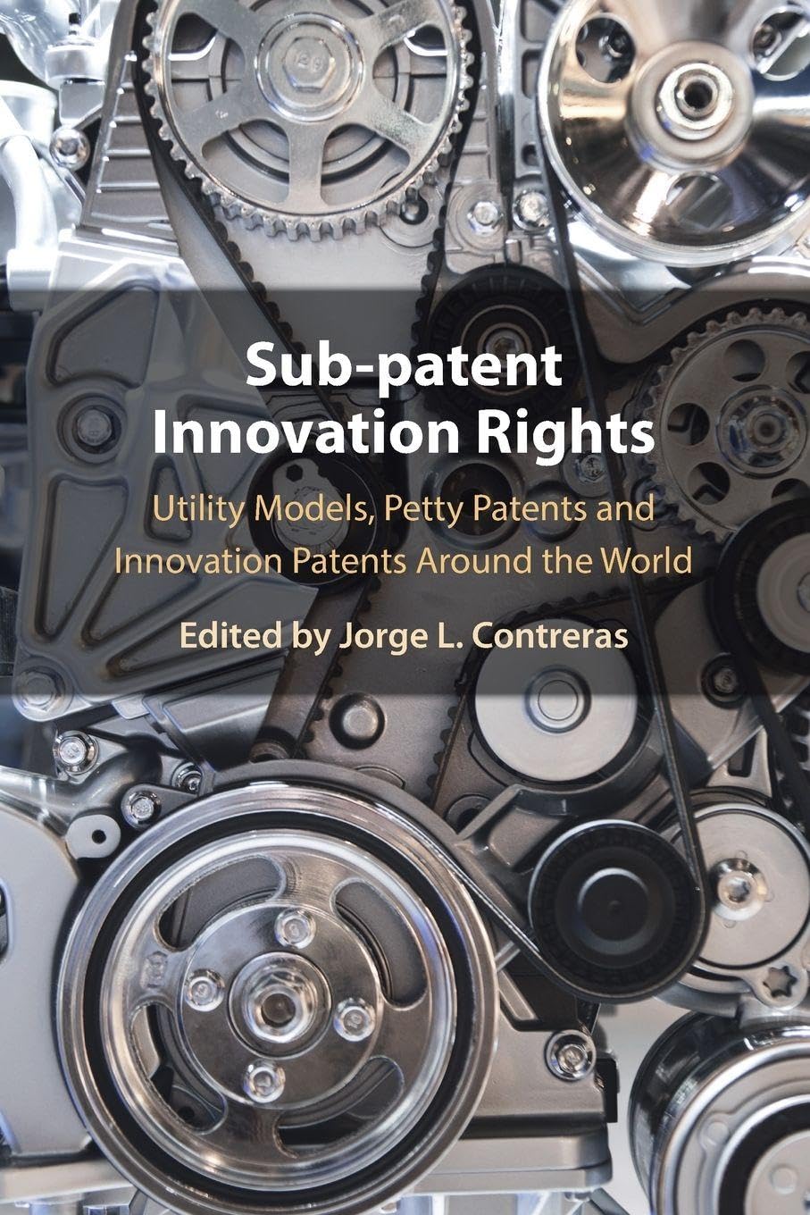 Sub-Patent Innovation Rights: Utility Models, Petty Patents and Innovation Patents Around the World