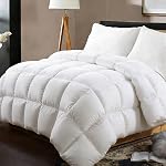 All Season Queen Size Comforter -Soft Quilted Down Alternative Breathable Duvet Insert with Corner Tabs - Luxury Hotel Collection-Reversible Fluffy Washable(88 by 88 inches,White)
