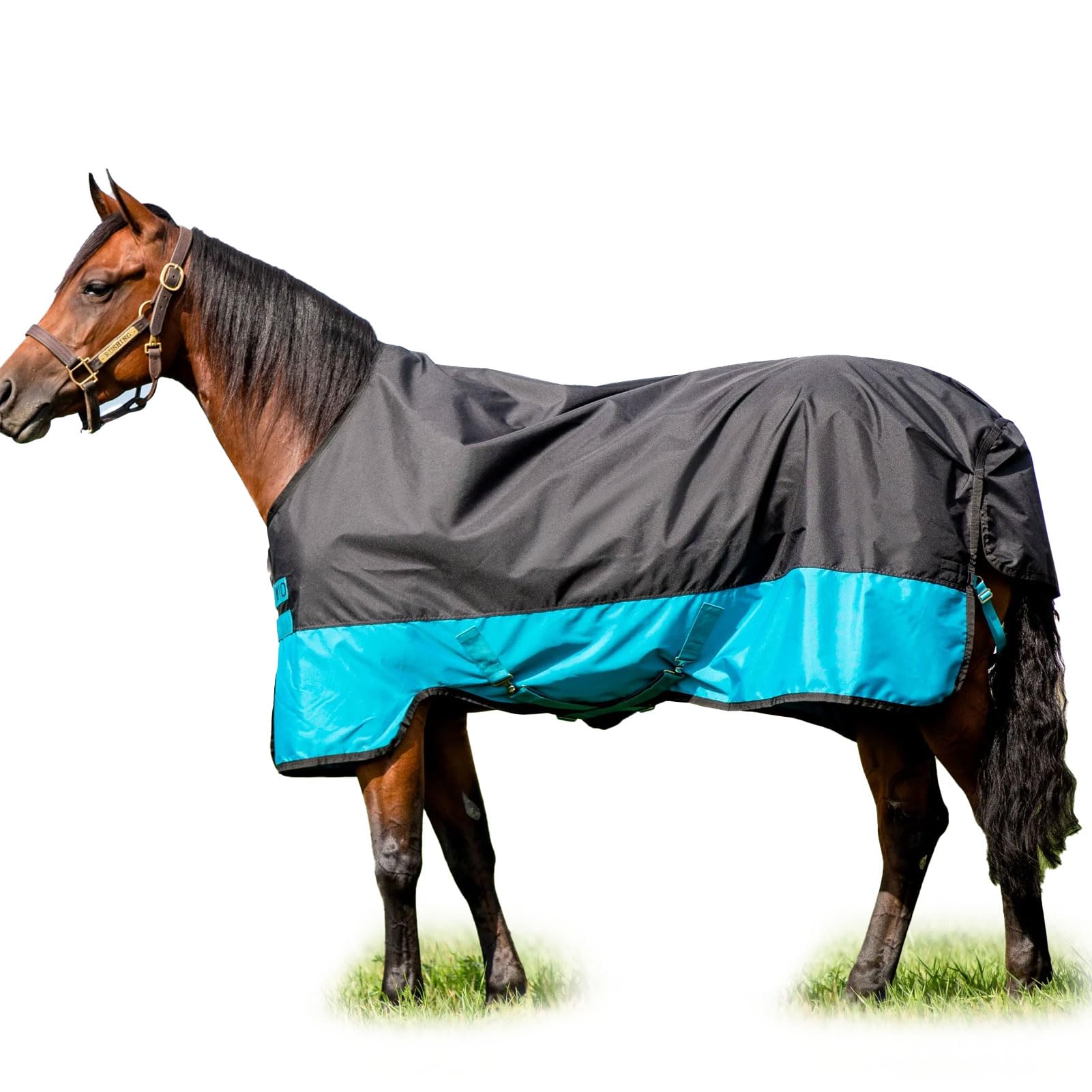 Horseware Mio Medium Turnout Blanket 72 Black