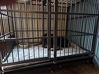 Review Image by Tammy K Tammy K