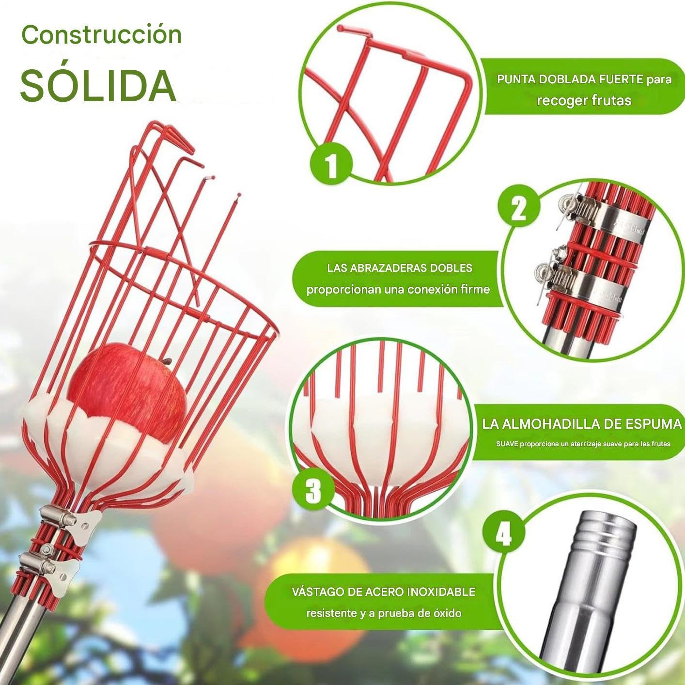 Varilla Telescópica con Cesta para Frutas | Recolector de Árboles Frutales de 4 m - Herramienta Portátil de Recolección para Naranjas, Limones, Melocotones, Peras, Granadas, Aguacates y Huertos