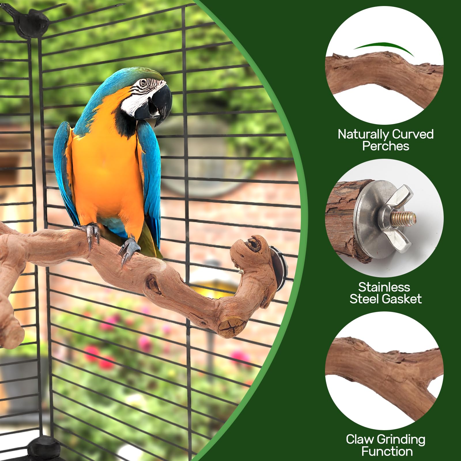 4-Piece Bird Perch Set with Rotating Ball Stand - Natural Wood Bird Gym & Playground for Parrots, Cockatiels, Budgies - image 3