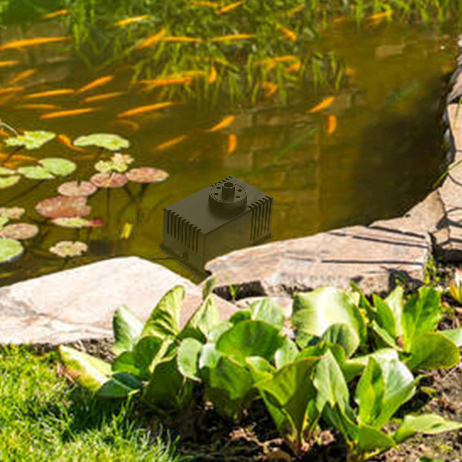 FRCOLOR 7v Pompa Solare Per Fontane Da Giardino Con h Automatico Per Uccelli e Decorazione Esterni Materiale Resistente e Variugelli Inclusi