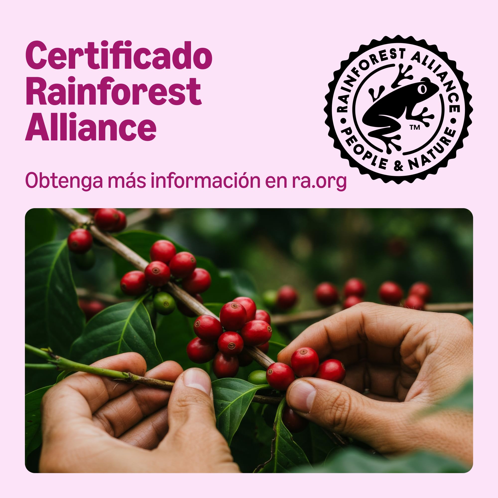 By Amazon Frutos Rojos Infusión 25 Bolsitas