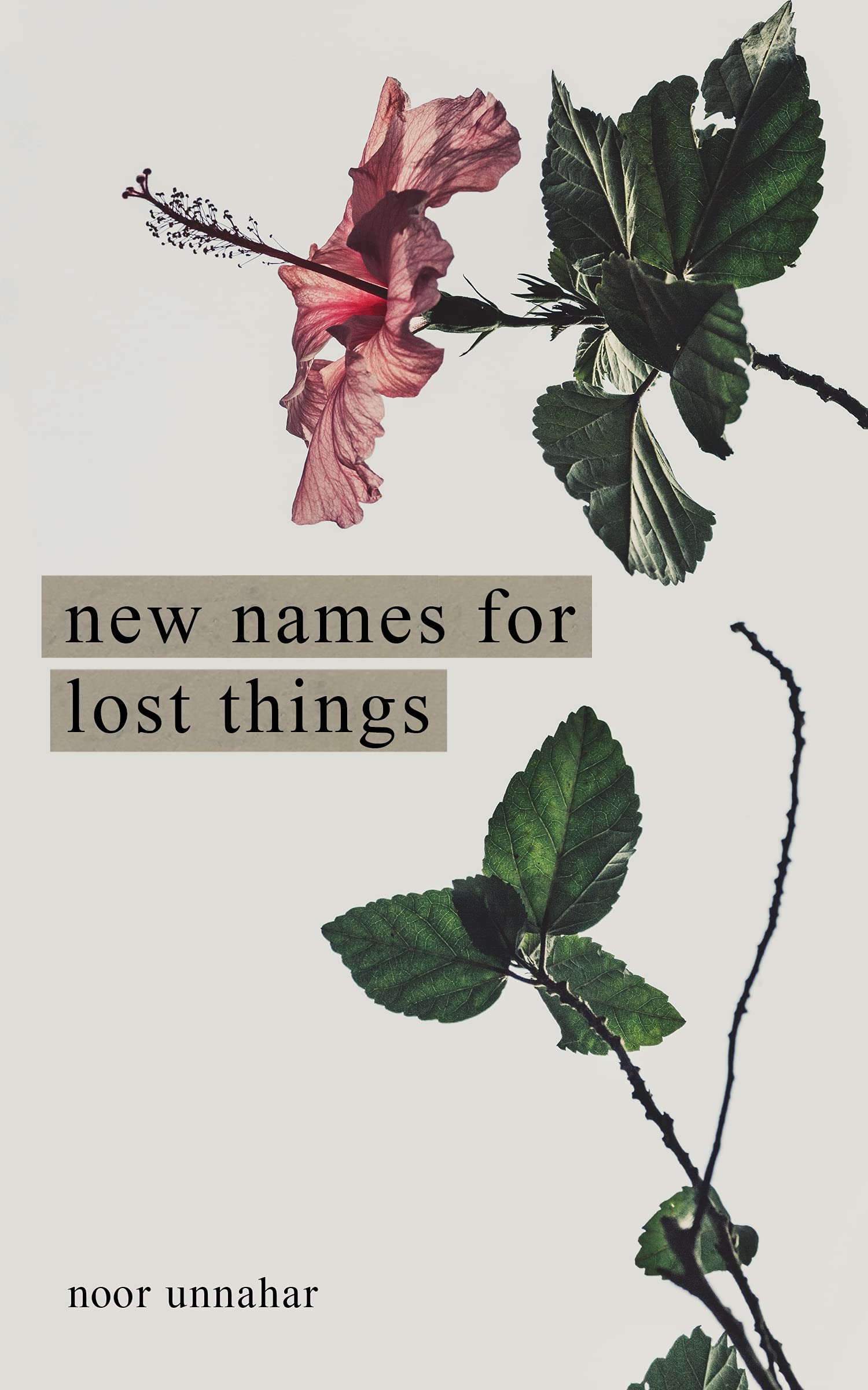 New Names for Lost Things - 9781524867591, paperback, Noor Unnahar