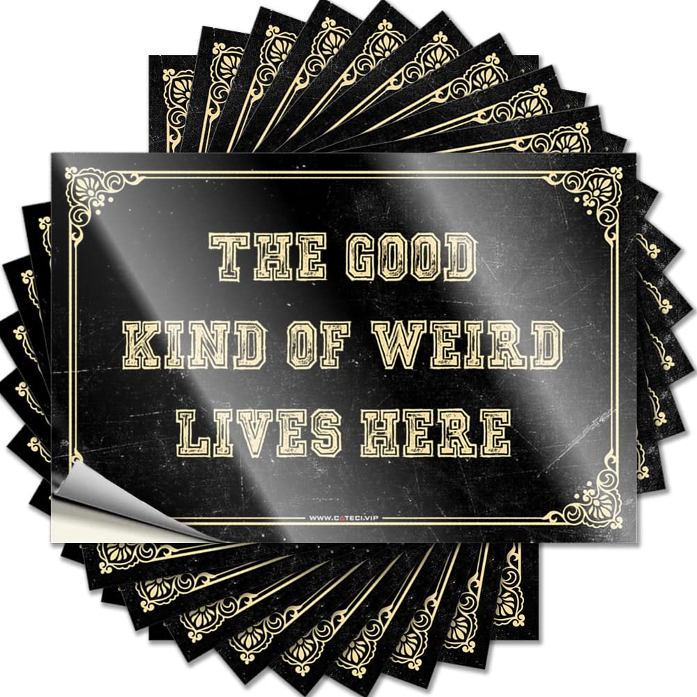 Tall Quote, Cool Wall Decor Cover The Good Kind of Weird Lives Here | Funny Quote Billiards Decals(8X12CM)
