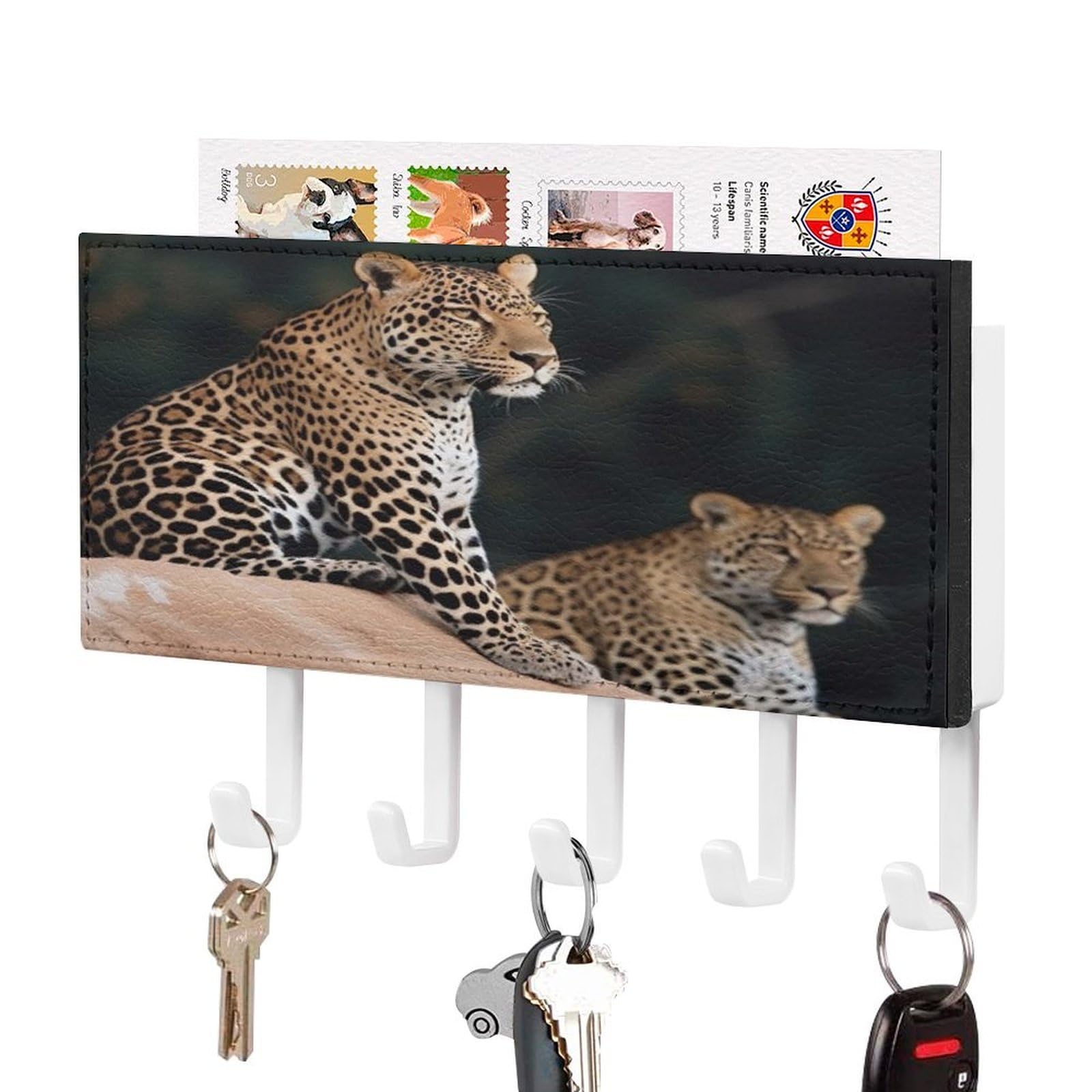 Soporte de llaves de pared adhesivo con 5 ganchos y bandeja portacartas