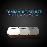 Vista 4 de Enbrighten Lámpara LED que cambia de color, luz nocturna moderna, blanco regulable y RGB vibrante, sensor táctil de encendido/apagado, compacta