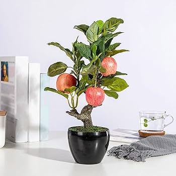 Amazon｜人工観葉植物 人工リンゴの木のデザイン、リビングルーム