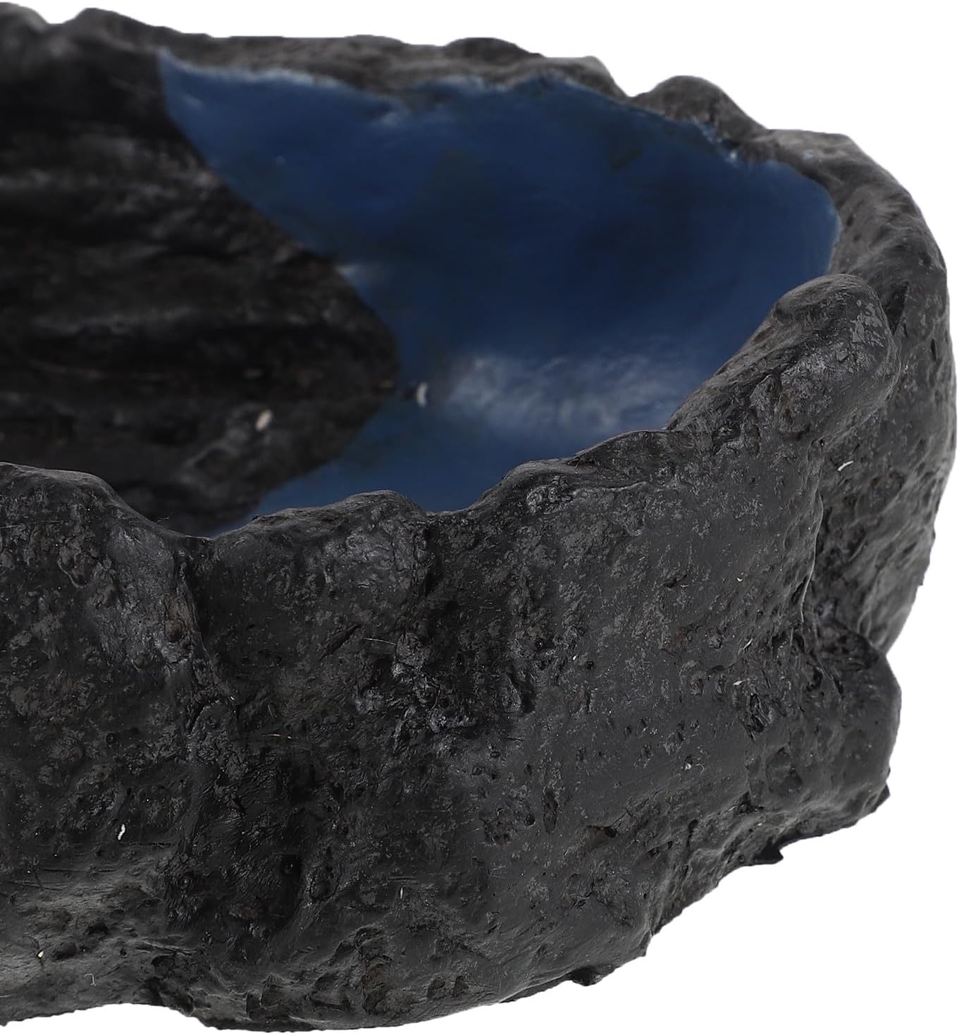 Reptile Water Dish, Resin Reptile Food Feeder Bowl, Water and Food Bowl,Terrarium Decor for Leopard Gecko, Lizard,Spider,Turtle,Scorpion,Hermit Crabs M