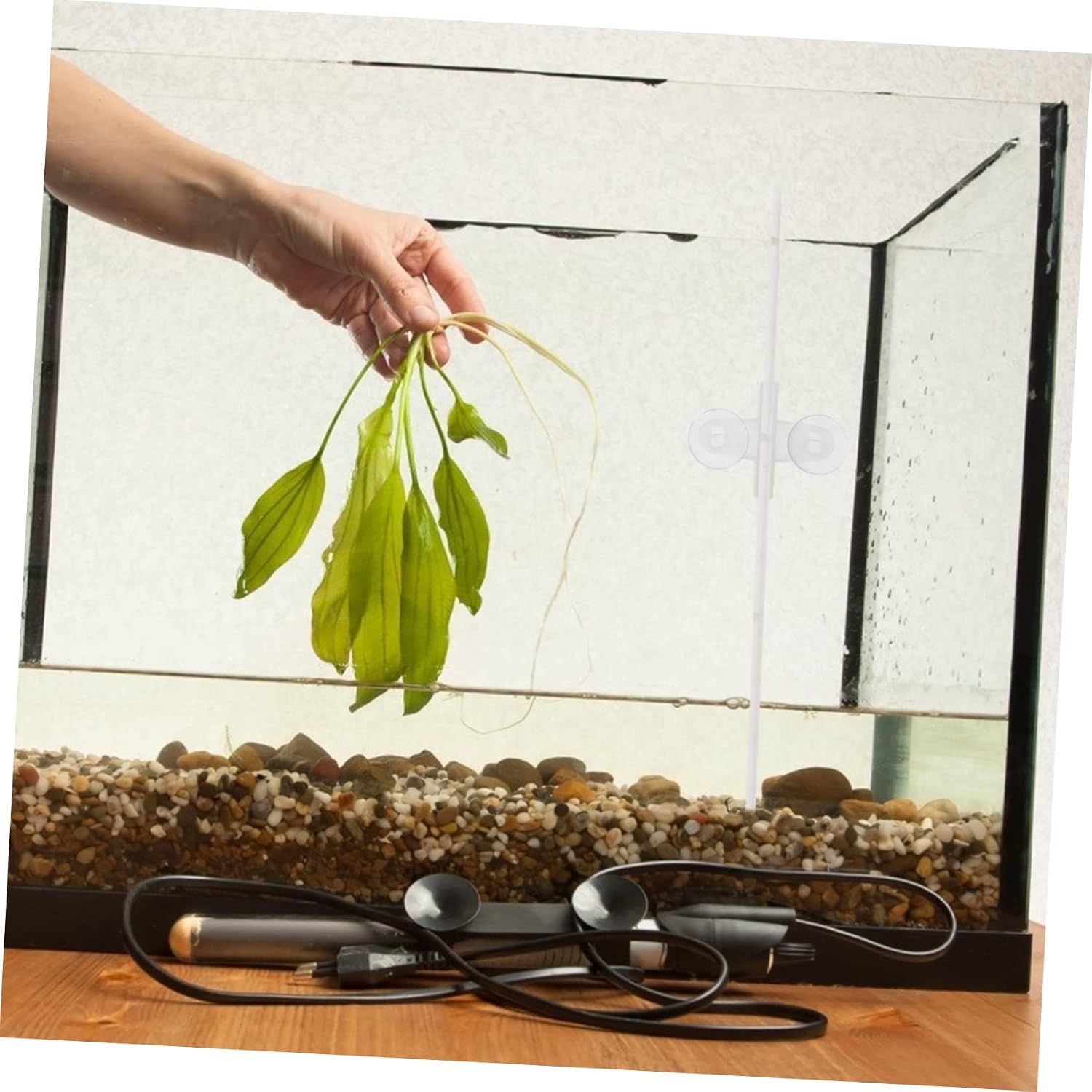 BESPORTBLE 5pcs Aquarium Divider Clips Cups Material for Tank Partitioning for Separating Aquariums and Supporting Heaters