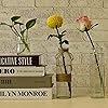 Product Photo 8