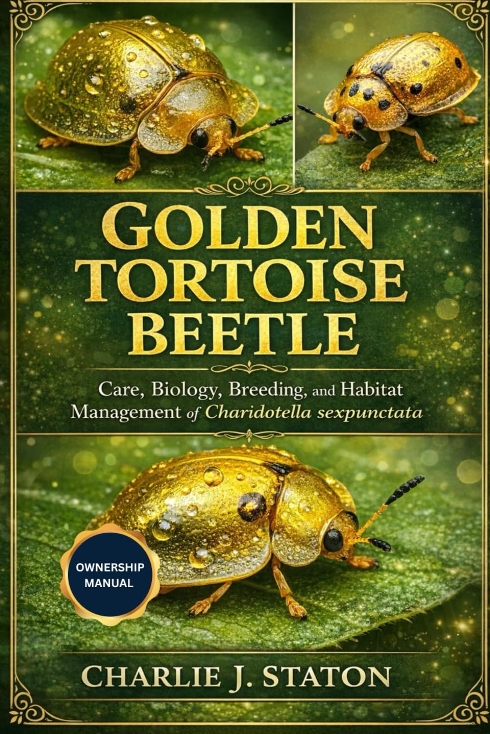 GOLDEN TORTOISE BEETLE: Care, Biology, Breeding, and Habitat Management of Charidotella sexpunctata