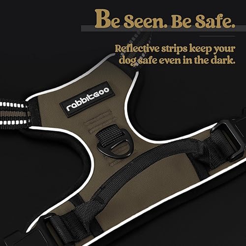 Miniatura 7 de Arnés para perro de rabbitgoo ajustable con 2 clips de correa arnés de chaleco acolchado cómodo con asa arnés frontal reflectante para perros