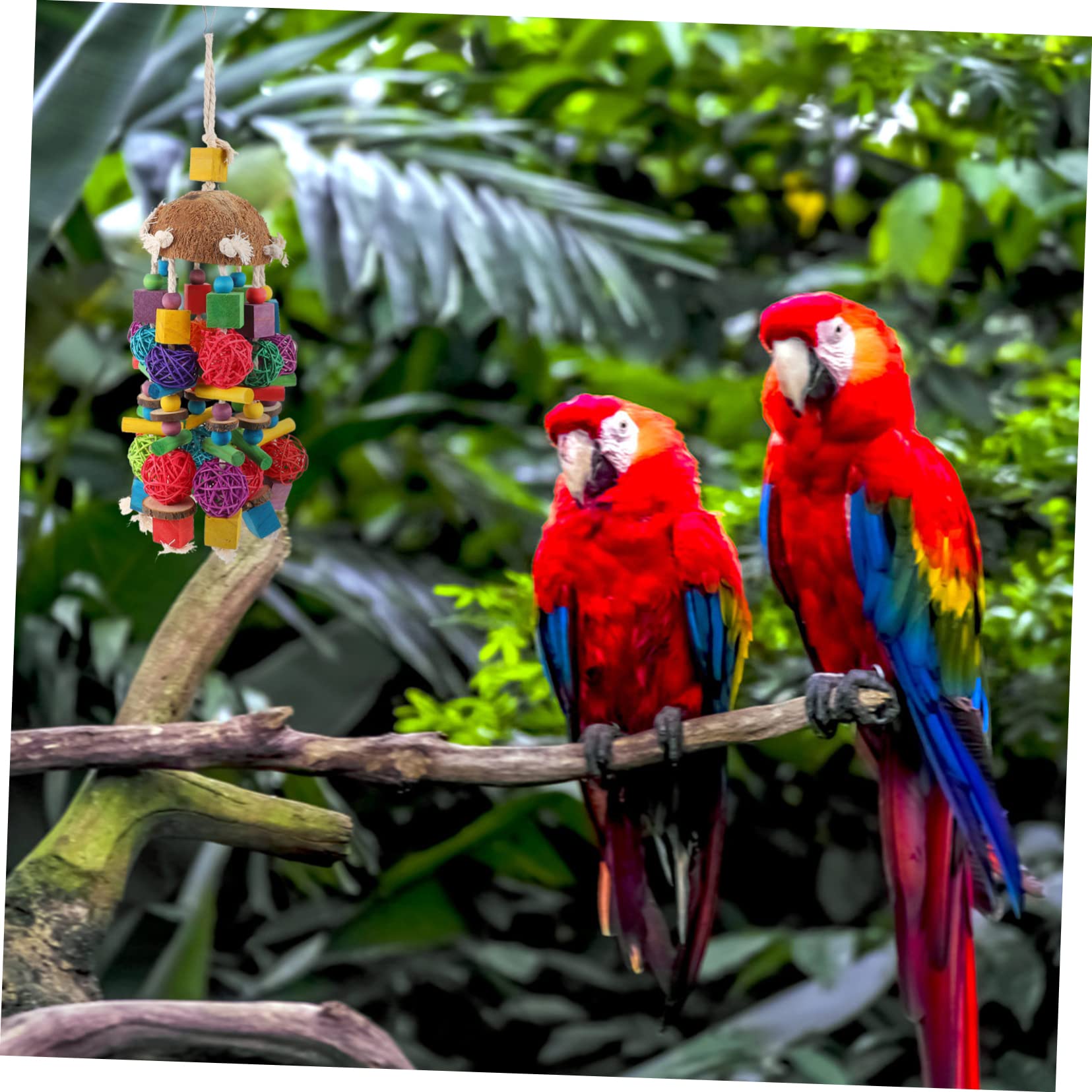 Beaupretty 1pièces Jouet Suspendu pour Perroquet Coquille De Noix De Accessoires De Cage Colorés pour Oiseaux à Mâcher Jouer