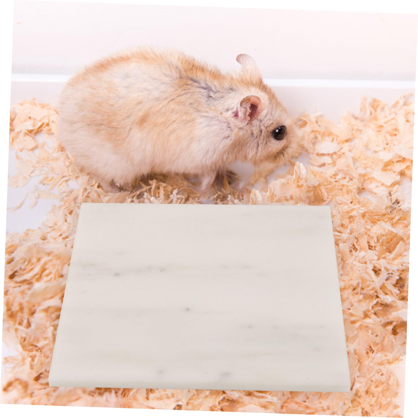 BESTonZON Tappetino Refrigerante per Conigli e Criceti in Marmo Naturale, Senza Congelamento, Riciclabile, per L'Estate e Piccoli Animali Domestici
